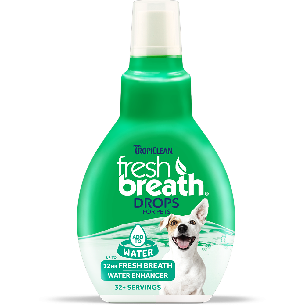 Best Online Pet Store Singapore
